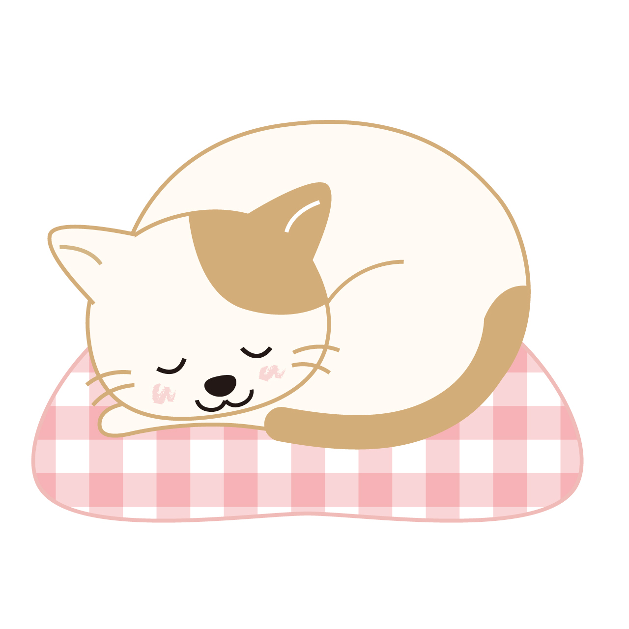 2日目「介護の心構え」｜猫の介護学 | 猫の介護専門店 Tiny Factory for Cats