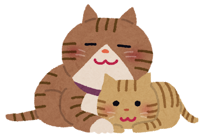 キャットケアホームヘルプ | 猫の介護専門店 Tiny Factory for Cats